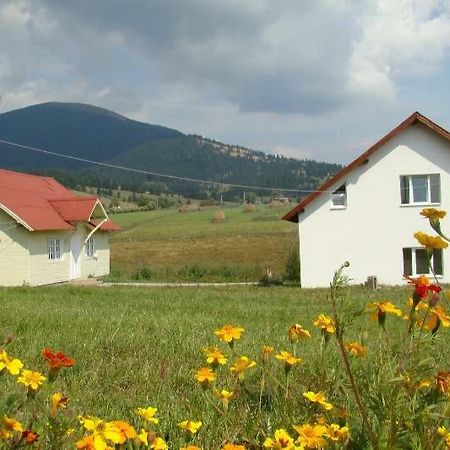 Вилла Casa Ana Vatra Dornei Dealu Floreni Экстерьер фото