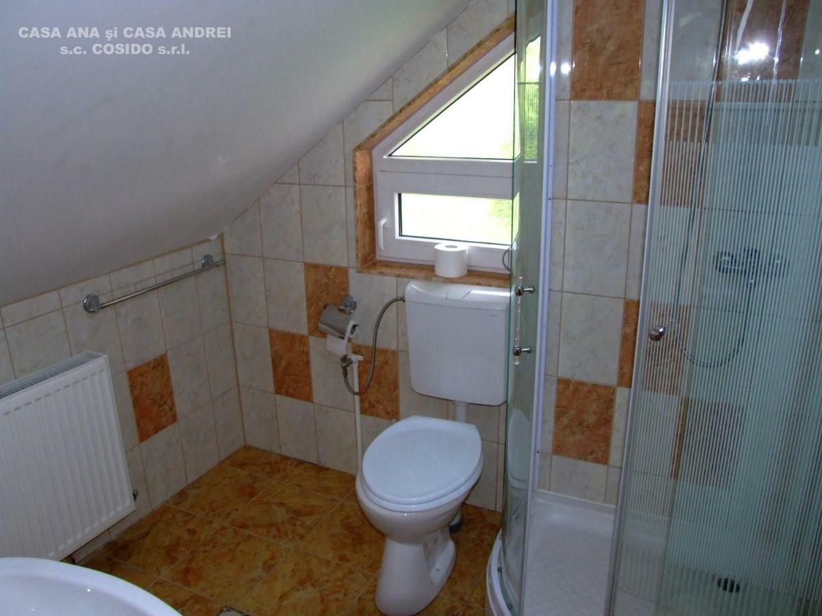 Вилла Casa Ana Vatra Dornei Dealu Floreni Экстерьер фото