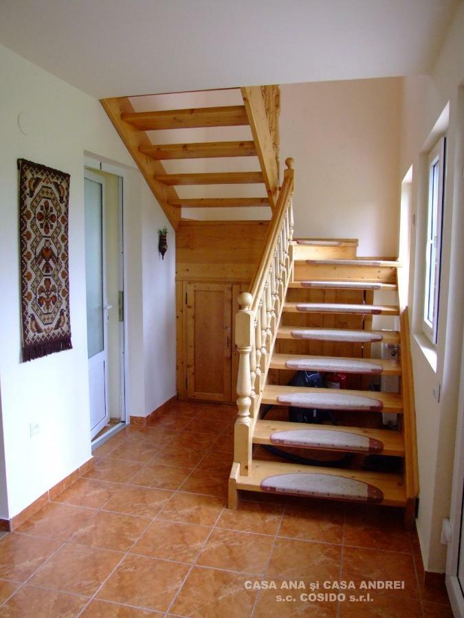 Вилла Casa Ana Vatra Dornei Dealu Floreni Экстерьер фото