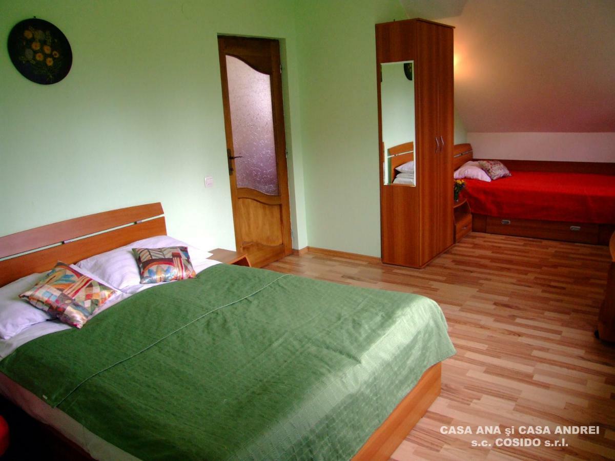 Вилла Casa Ana Vatra Dornei Dealu Floreni Экстерьер фото