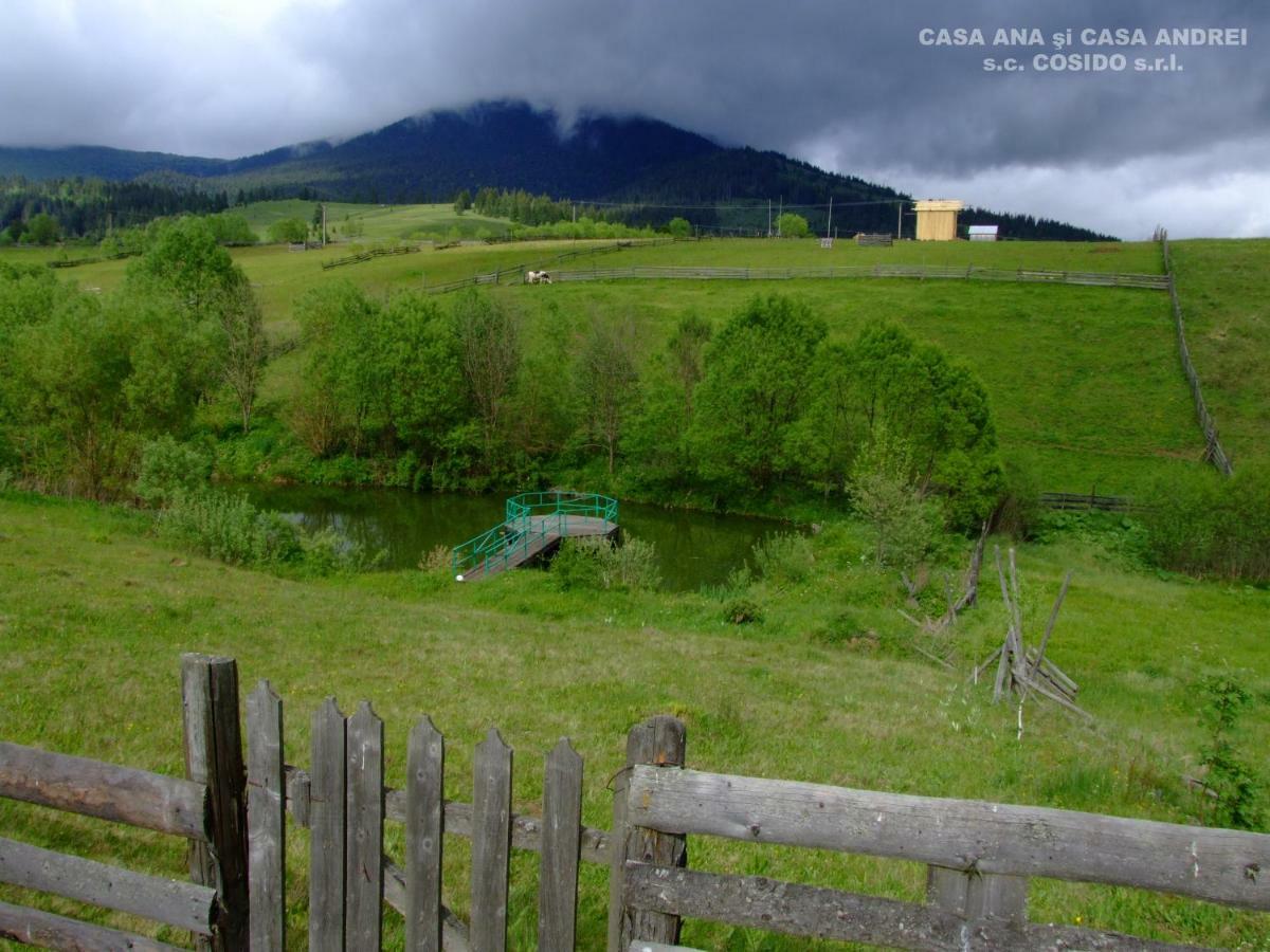 Вилла Casa Ana Vatra Dornei Dealu Floreni Экстерьер фото
