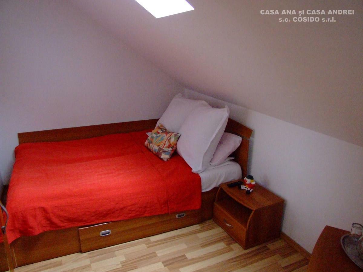 Вилла Casa Ana Vatra Dornei Dealu Floreni Экстерьер фото