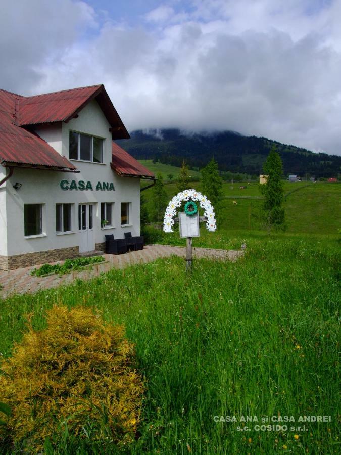 Вилла Casa Ana Vatra Dornei Dealu Floreni Экстерьер фото